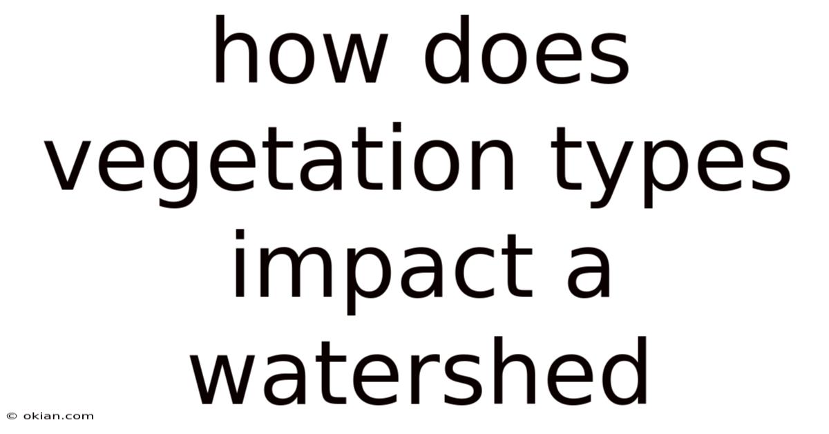 How Does Vegetation Types Impact A Watershed