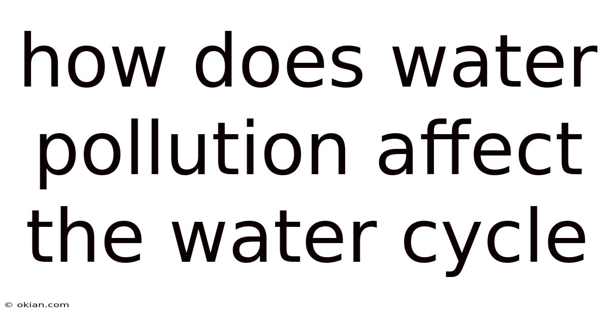 How Does Water Pollution Affect The Water Cycle