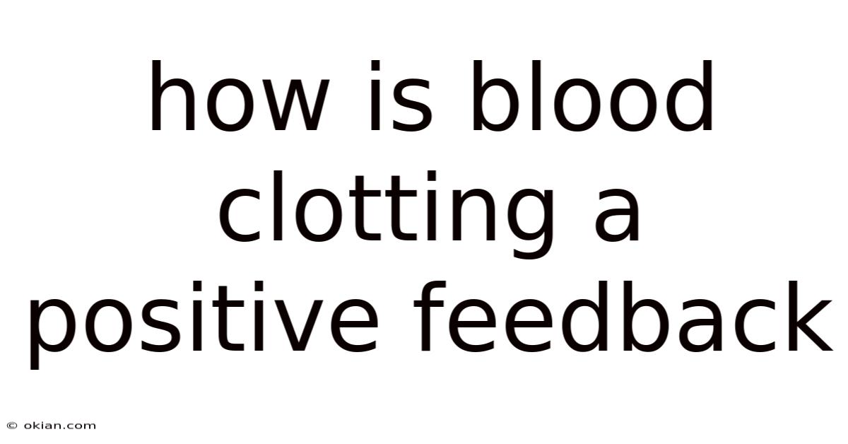 How Is Blood Clotting A Positive Feedback