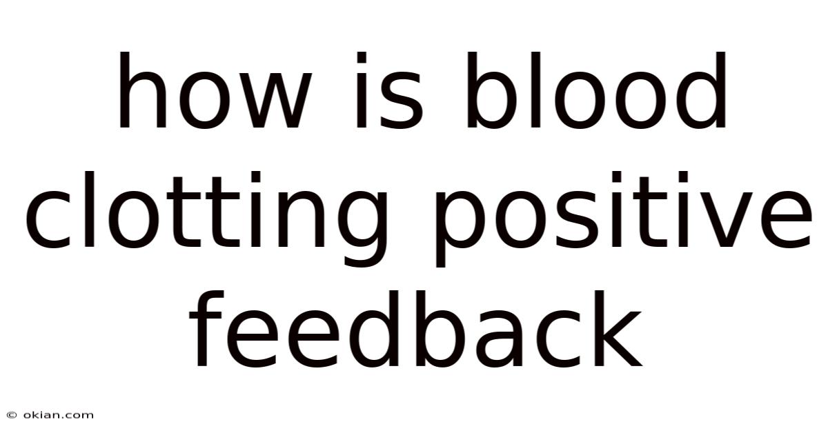 How Is Blood Clotting Positive Feedback