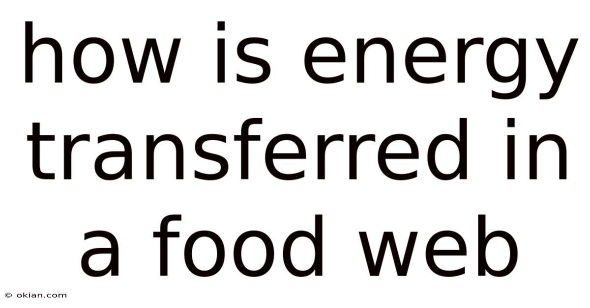 How Is Energy Transferred In A Food Web