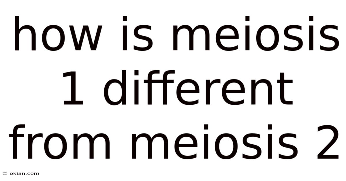 How Is Meiosis 1 Different From Meiosis 2