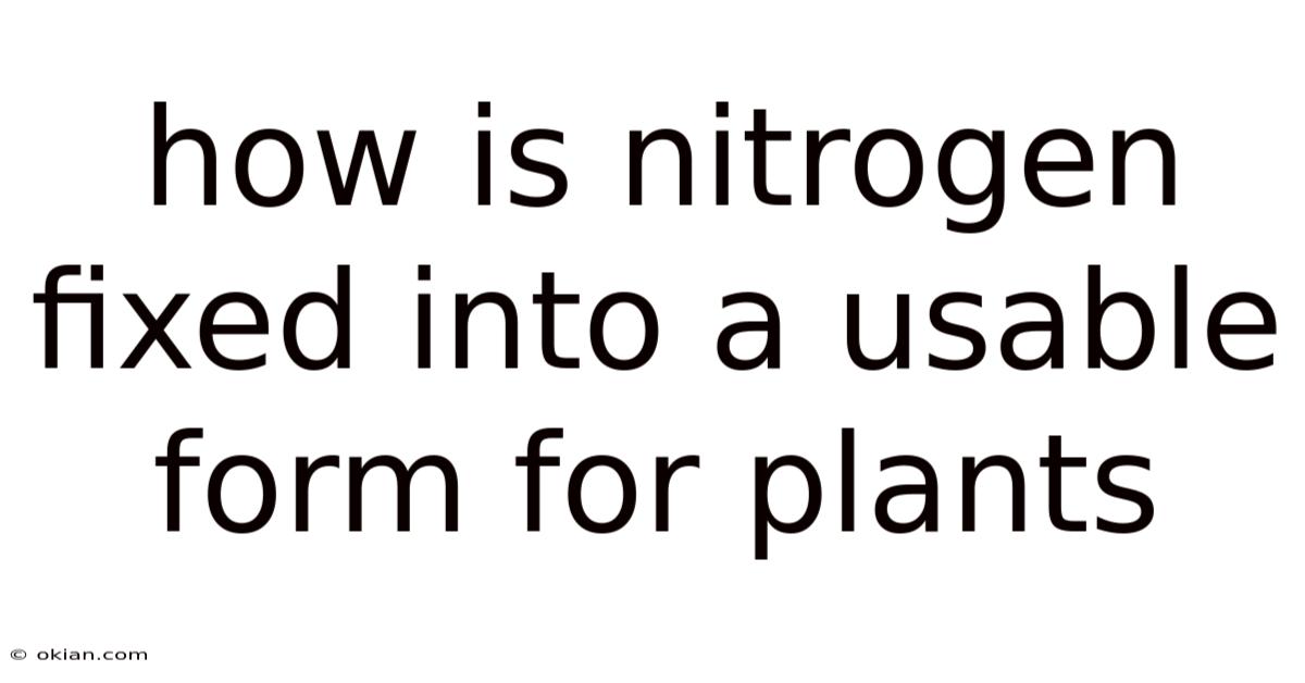 How Is Nitrogen Fixed Into A Usable Form For Plants