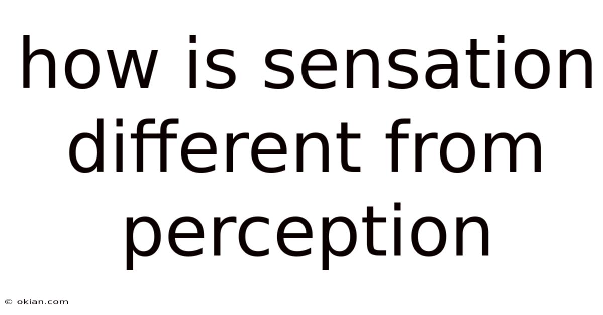 How Is Sensation Different From Perception
