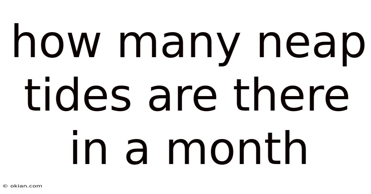 How Many Neap Tides Are There In A Month