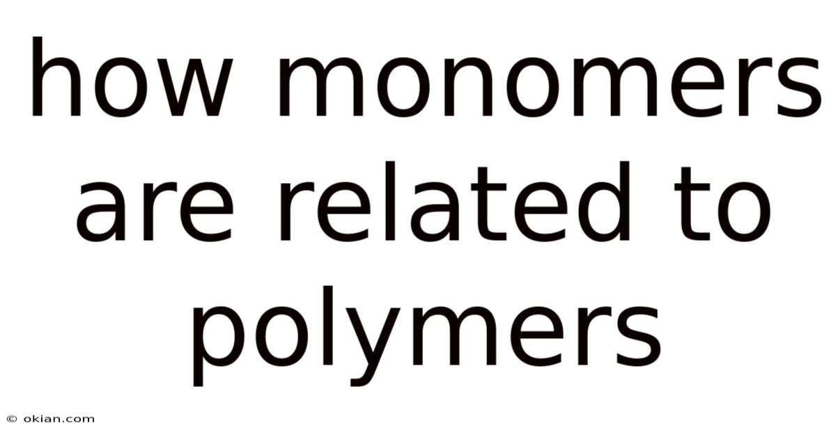 How Monomers Are Related To Polymers
