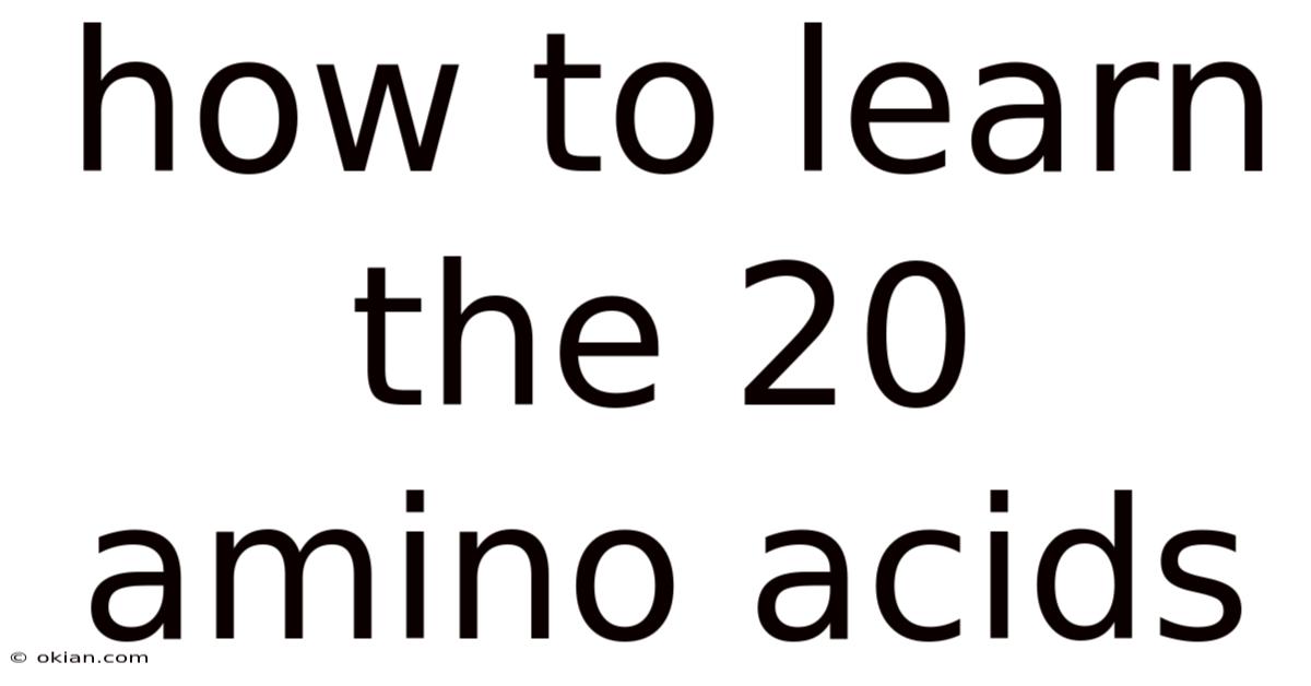 How To Learn The 20 Amino Acids