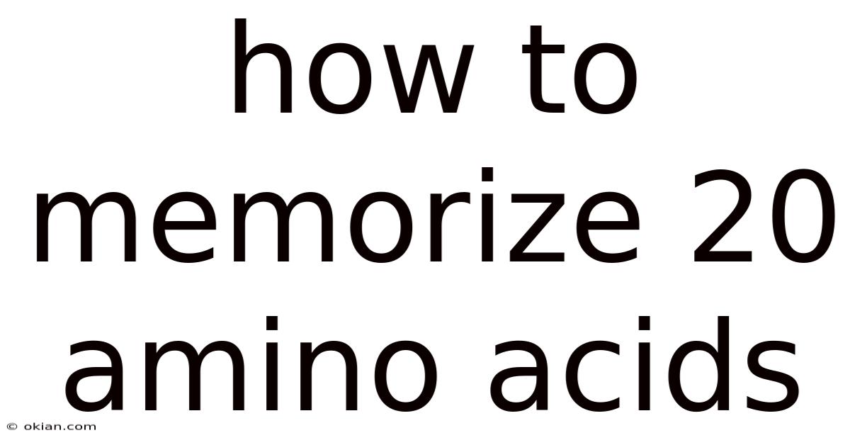How To Memorize 20 Amino Acids