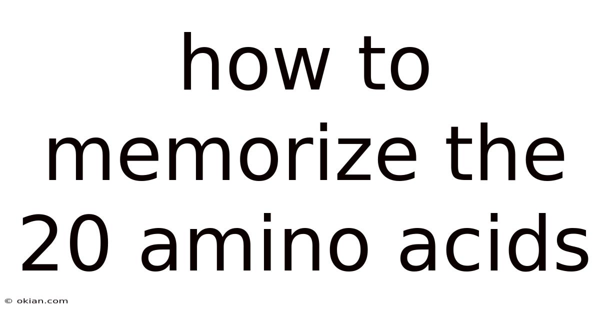 How To Memorize The 20 Amino Acids