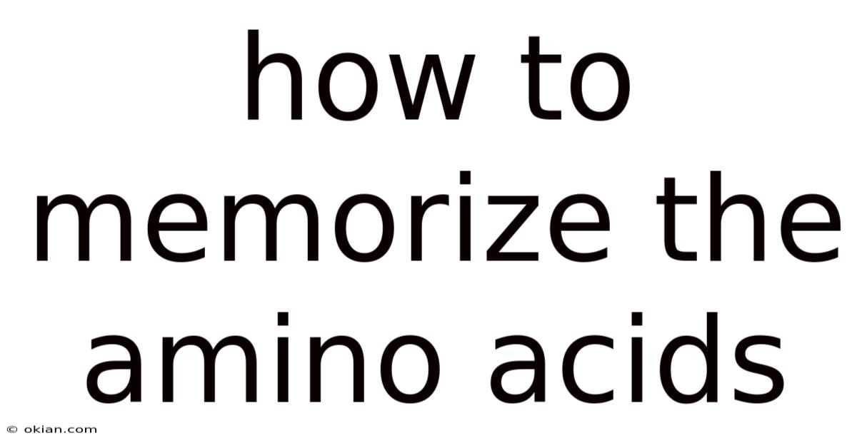 How To Memorize The Amino Acids
