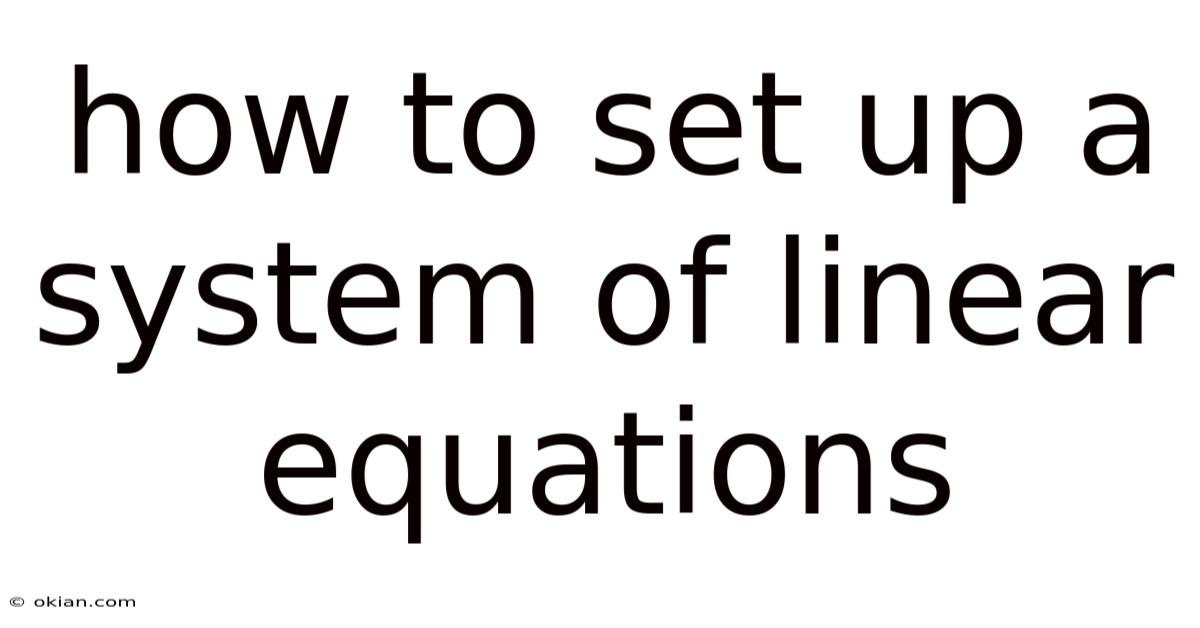How To Set Up A System Of Linear Equations