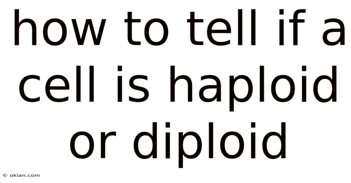 How To Tell If A Cell Is Haploid Or Diploid