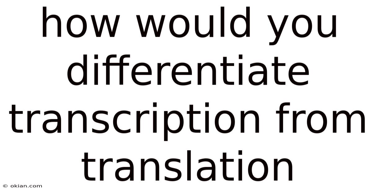 How Would You Differentiate Transcription From Translation
