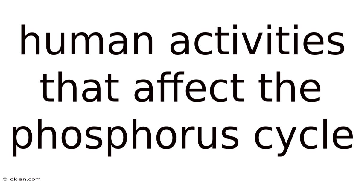 Human Activities That Affect The Phosphorus Cycle