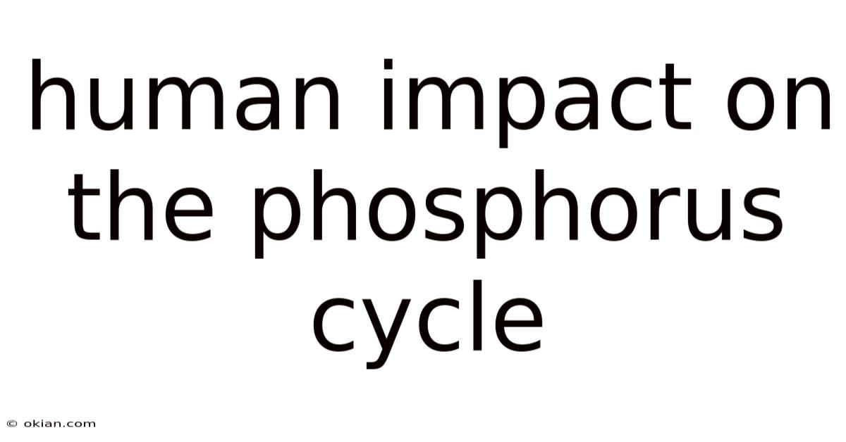 Human Impact On The Phosphorus Cycle