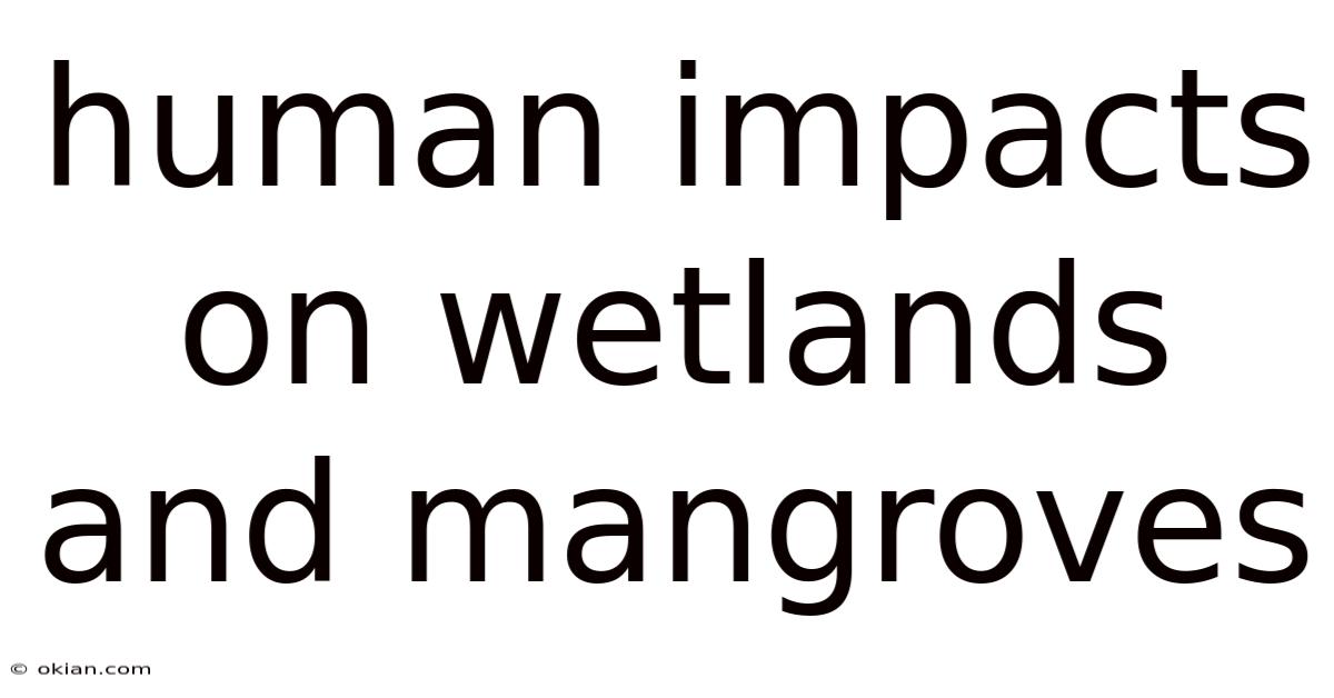 Human Impacts On Wetlands And Mangroves
