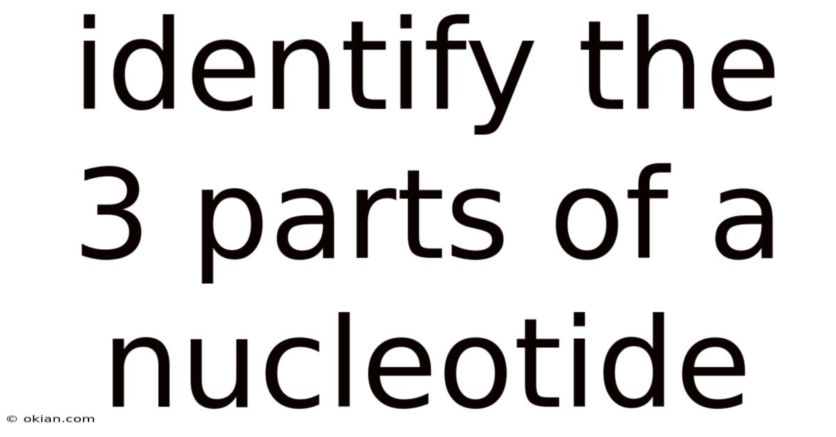 Identify The 3 Parts Of A Nucleotide