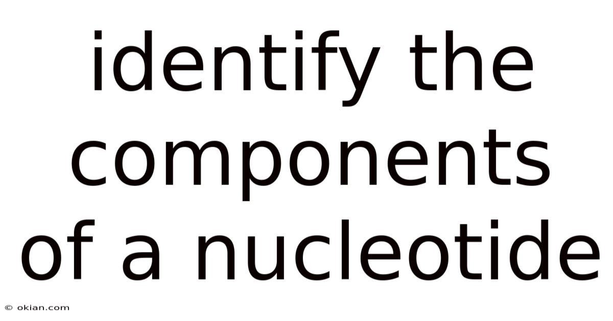 Identify The Components Of A Nucleotide