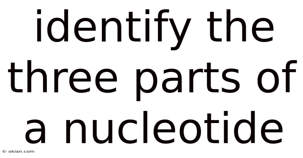 Identify The Three Parts Of A Nucleotide