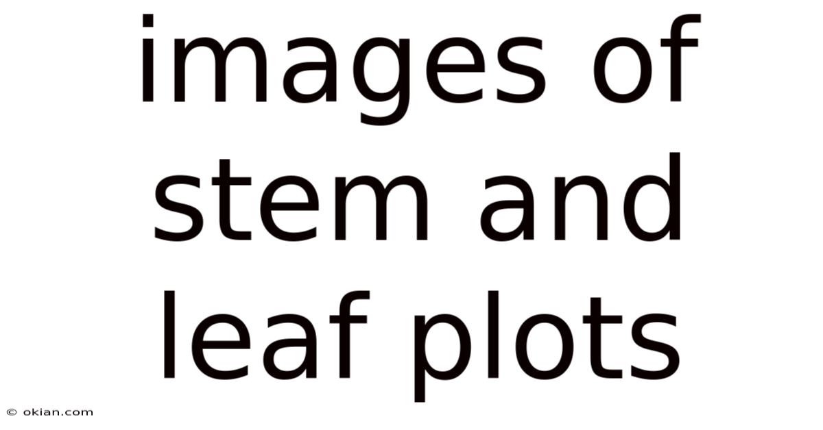 Images Of Stem And Leaf Plots