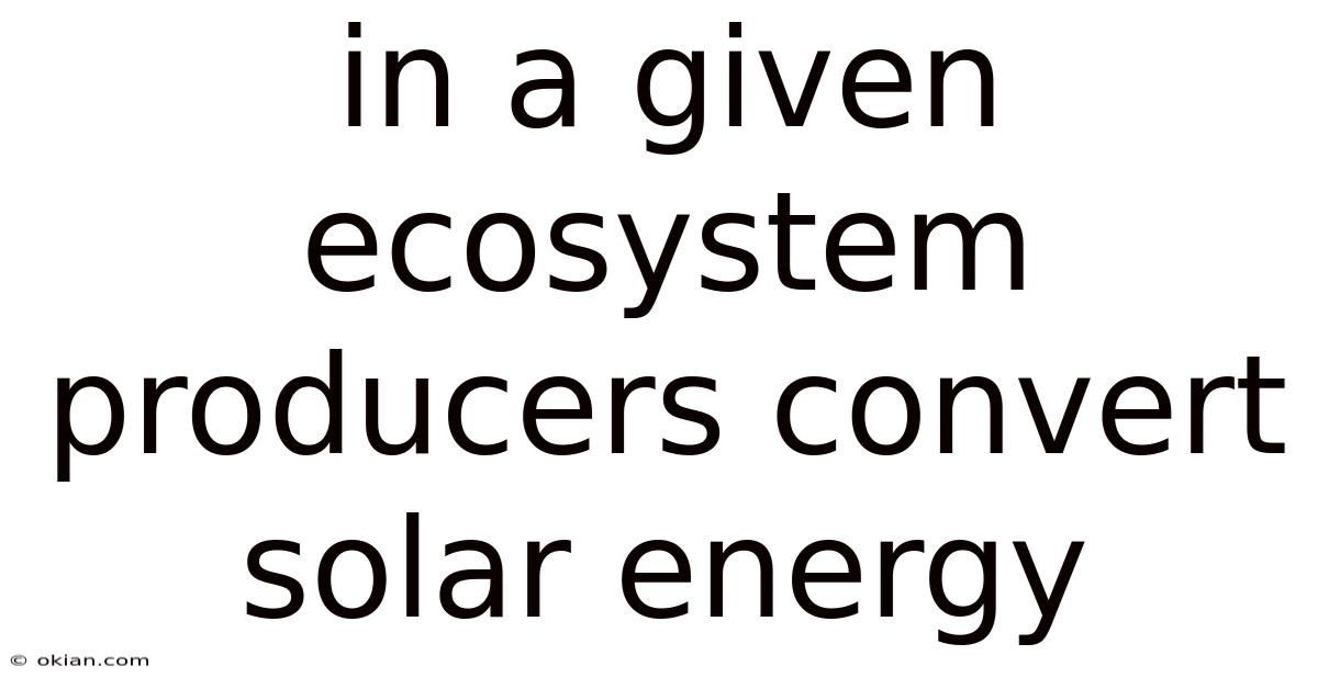 In A Given Ecosystem Producers Convert Solar Energy