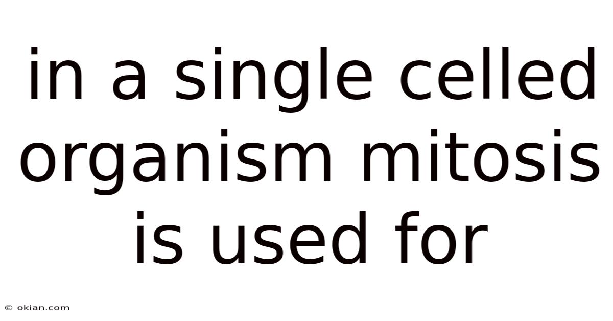 In A Single Celled Organism Mitosis Is Used For