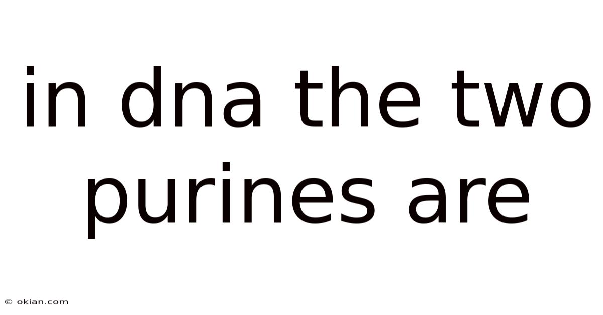In Dna The Two Purines Are