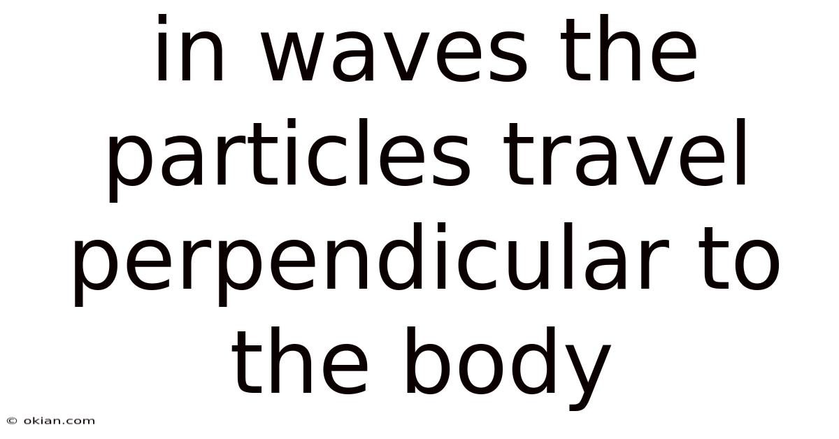 In Waves The Particles Travel Perpendicular To The Body