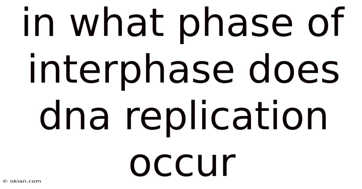 In What Phase Of Interphase Does Dna Replication Occur