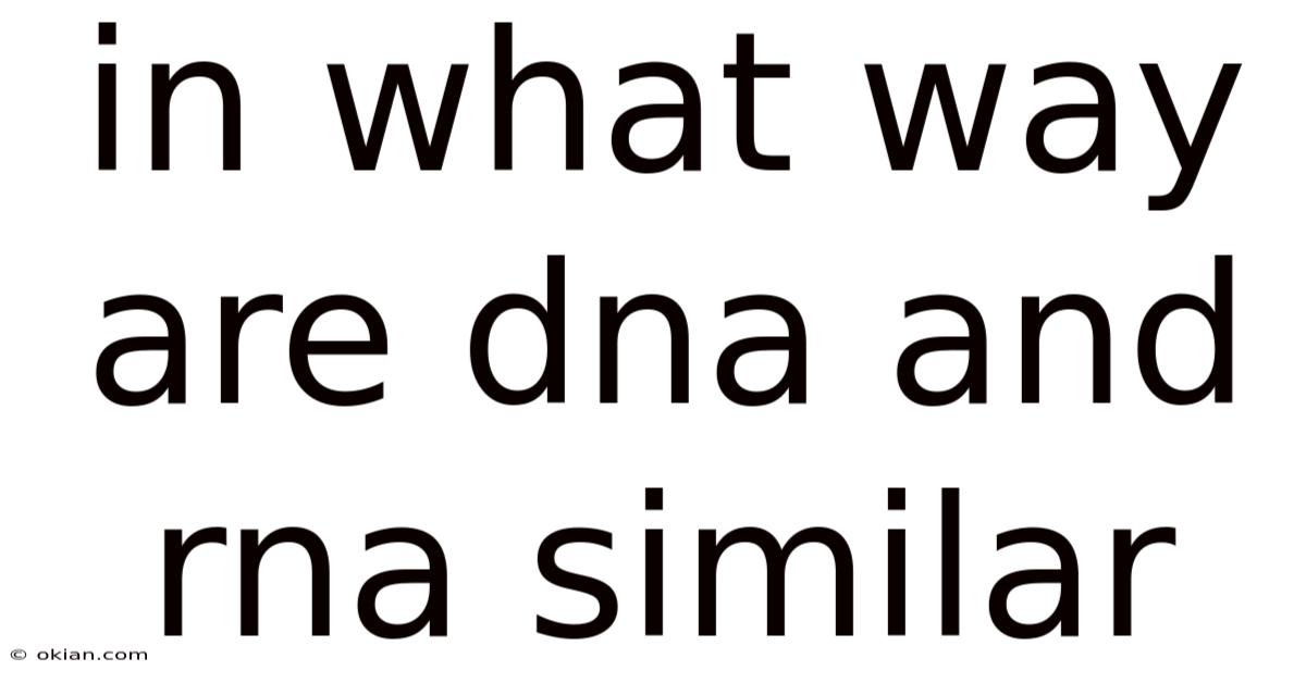 In What Way Are Dna And Rna Similar