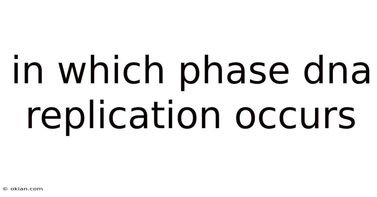 In Which Phase Dna Replication Occurs