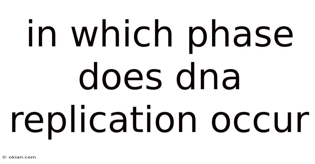 In Which Phase Does Dna Replication Occur