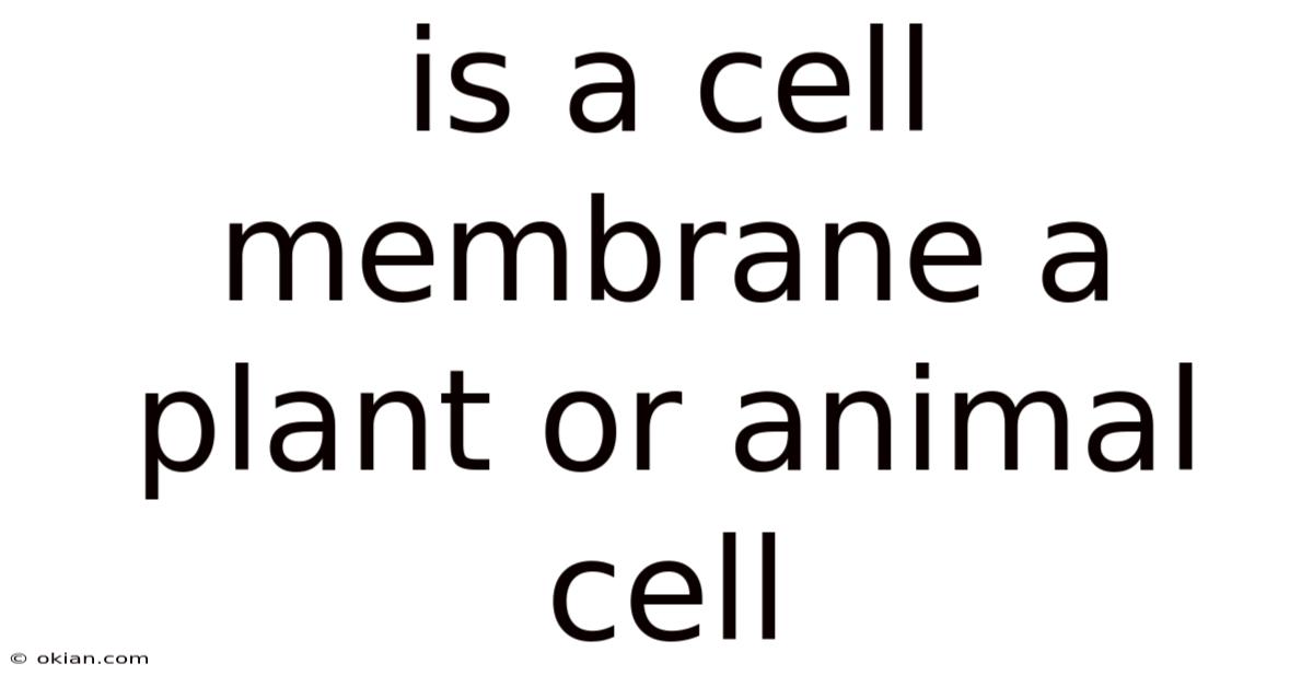 Is A Cell Membrane A Plant Or Animal Cell