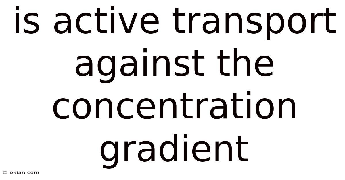 Is Active Transport Against The Concentration Gradient