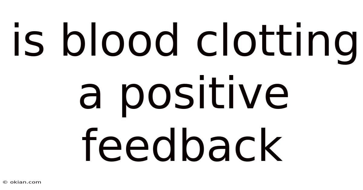 Is Blood Clotting A Positive Feedback