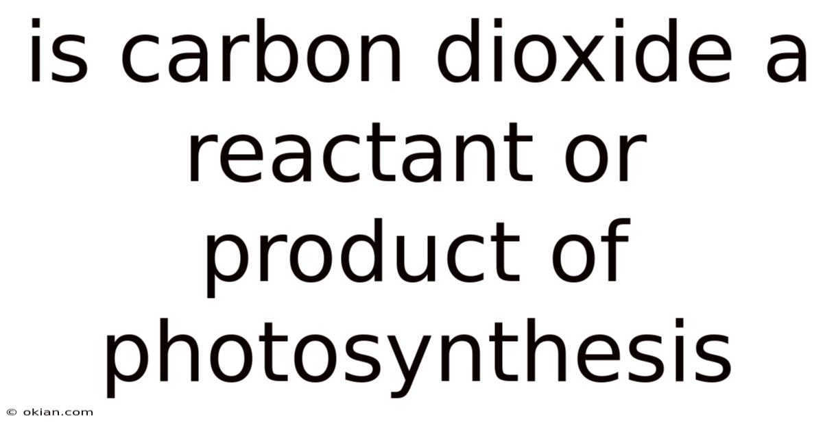 Is Carbon Dioxide A Reactant Or Product Of Photosynthesis