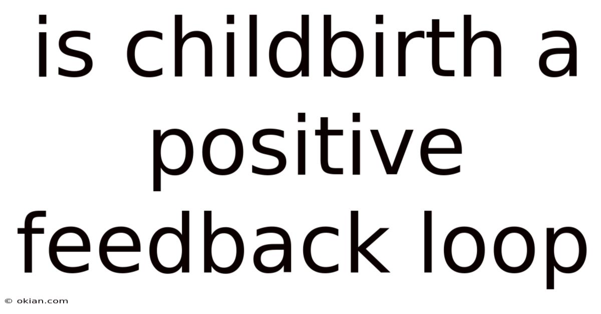Is Childbirth A Positive Feedback Loop
