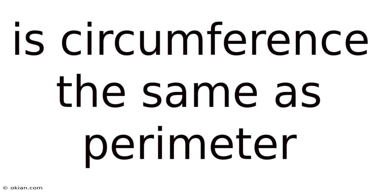 Is Circumference The Same As Perimeter
