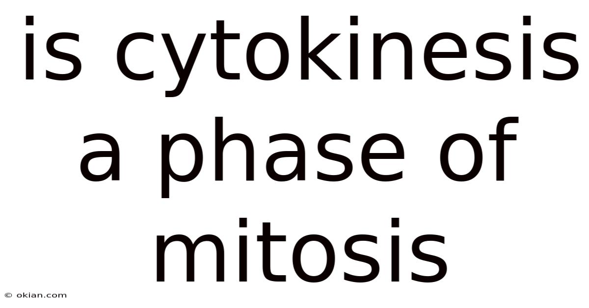 Is Cytokinesis A Phase Of Mitosis