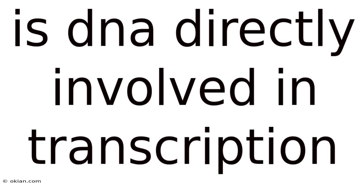 Is Dna Directly Involved In Transcription