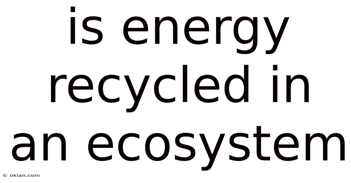 Is Energy Recycled In An Ecosystem