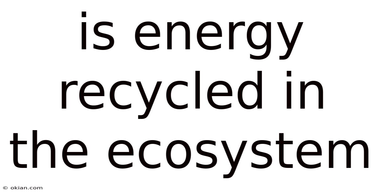 Is Energy Recycled In The Ecosystem