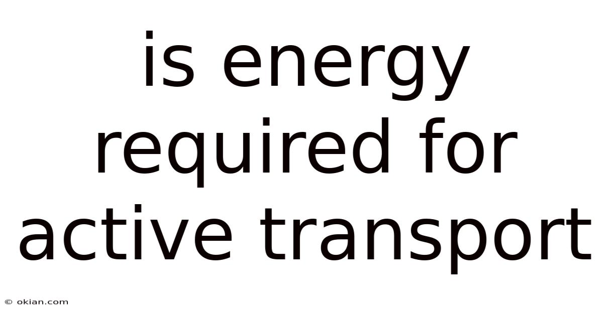 Is Energy Required For Active Transport