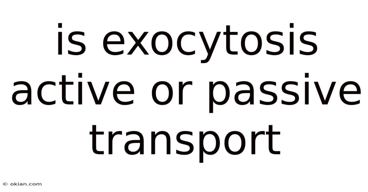 Is Exocytosis Active Or Passive Transport
