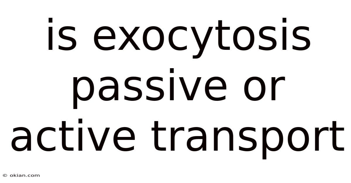 Is Exocytosis Passive Or Active Transport