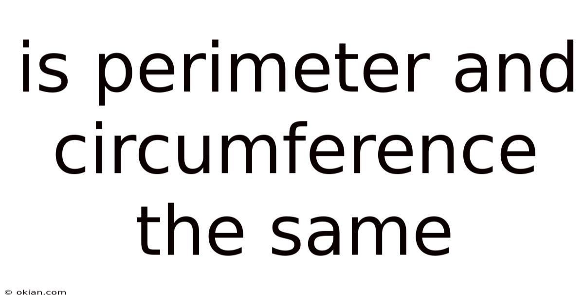 Is Perimeter And Circumference The Same