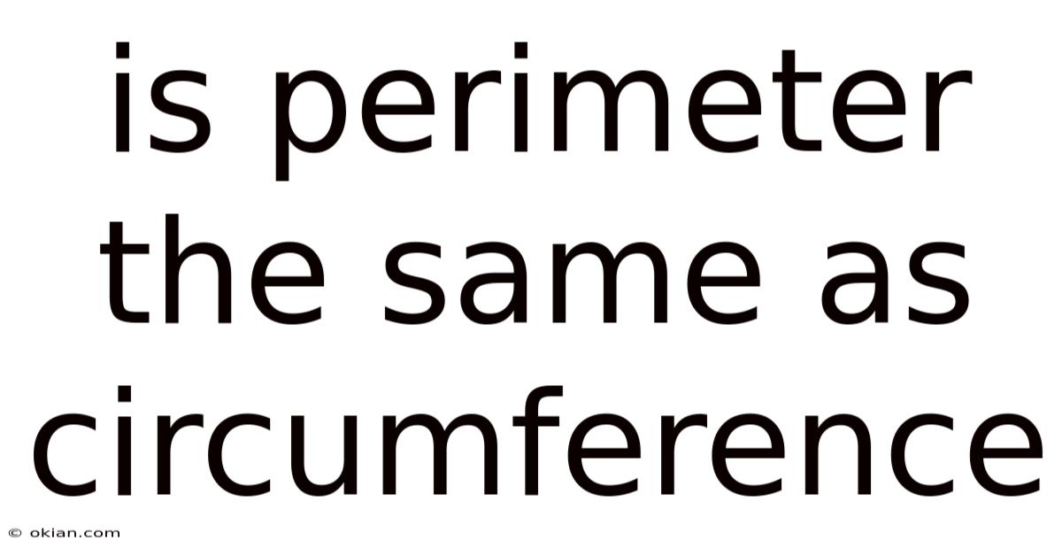 Is Perimeter The Same As Circumference