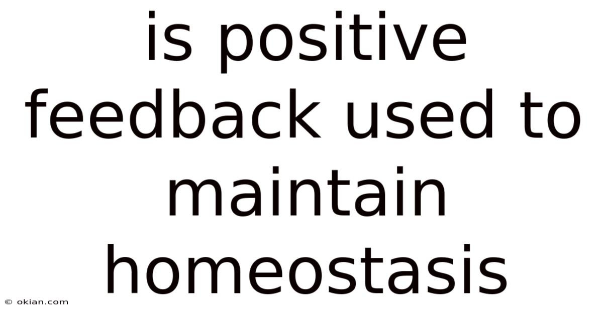 Is Positive Feedback Used To Maintain Homeostasis
