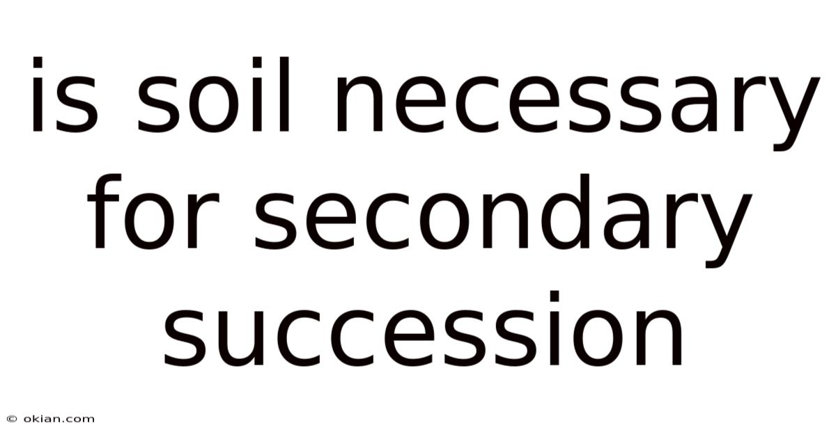 Is Soil Necessary For Secondary Succession
