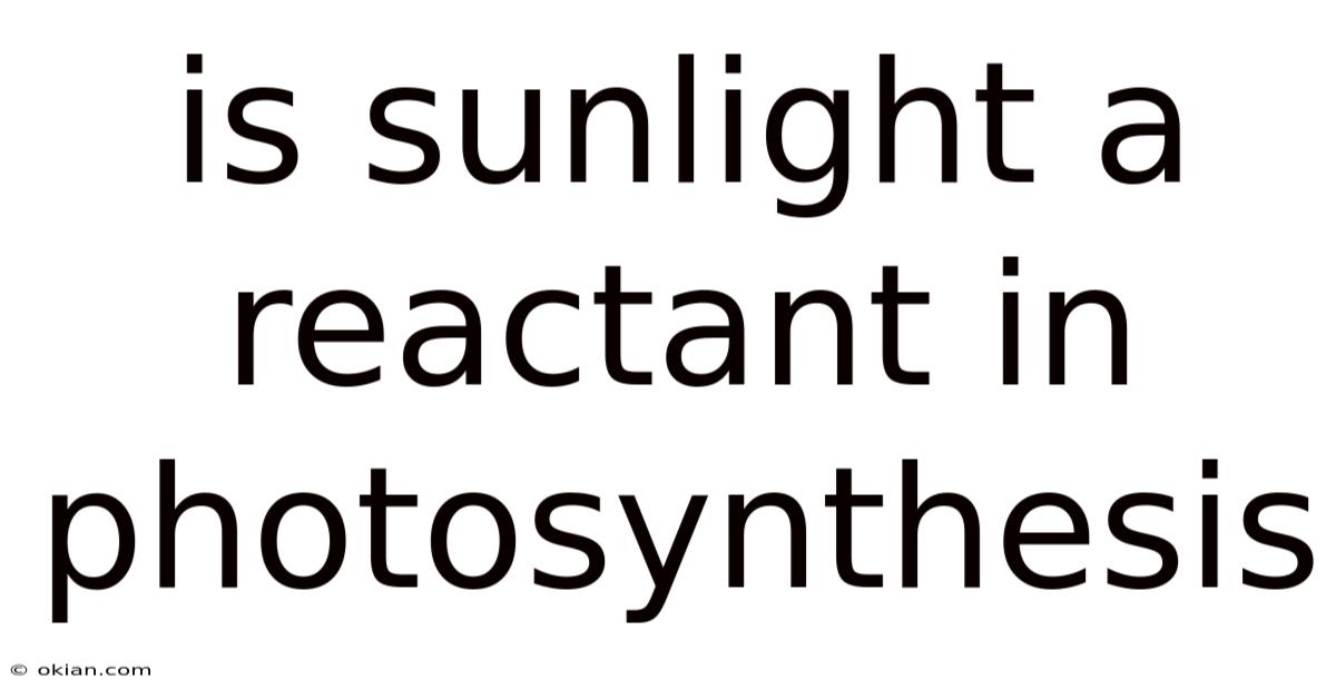 Is Sunlight A Reactant In Photosynthesis